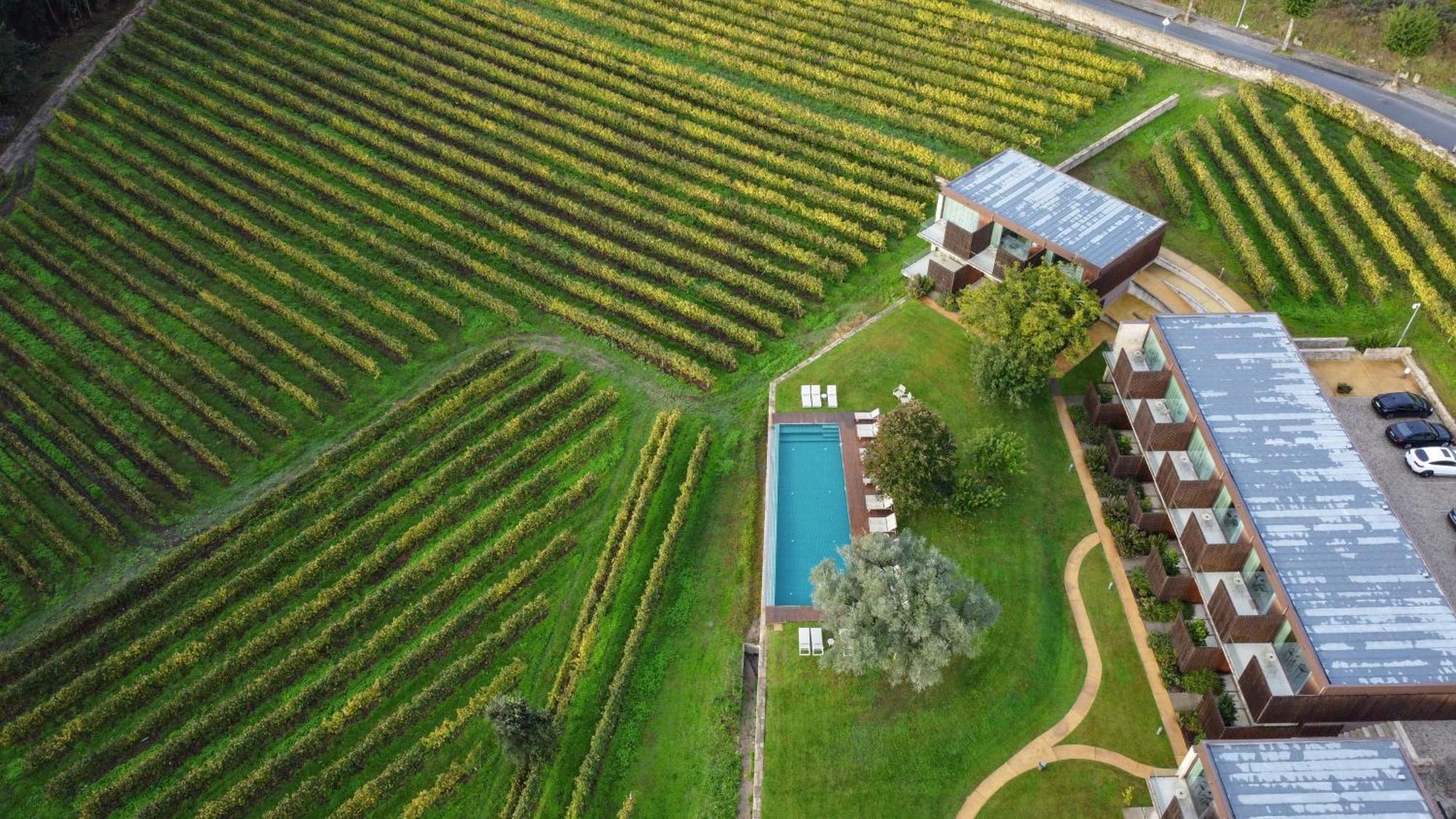 Torre De Gomariz Wine & Spa Hotel Cervães 外观 照片